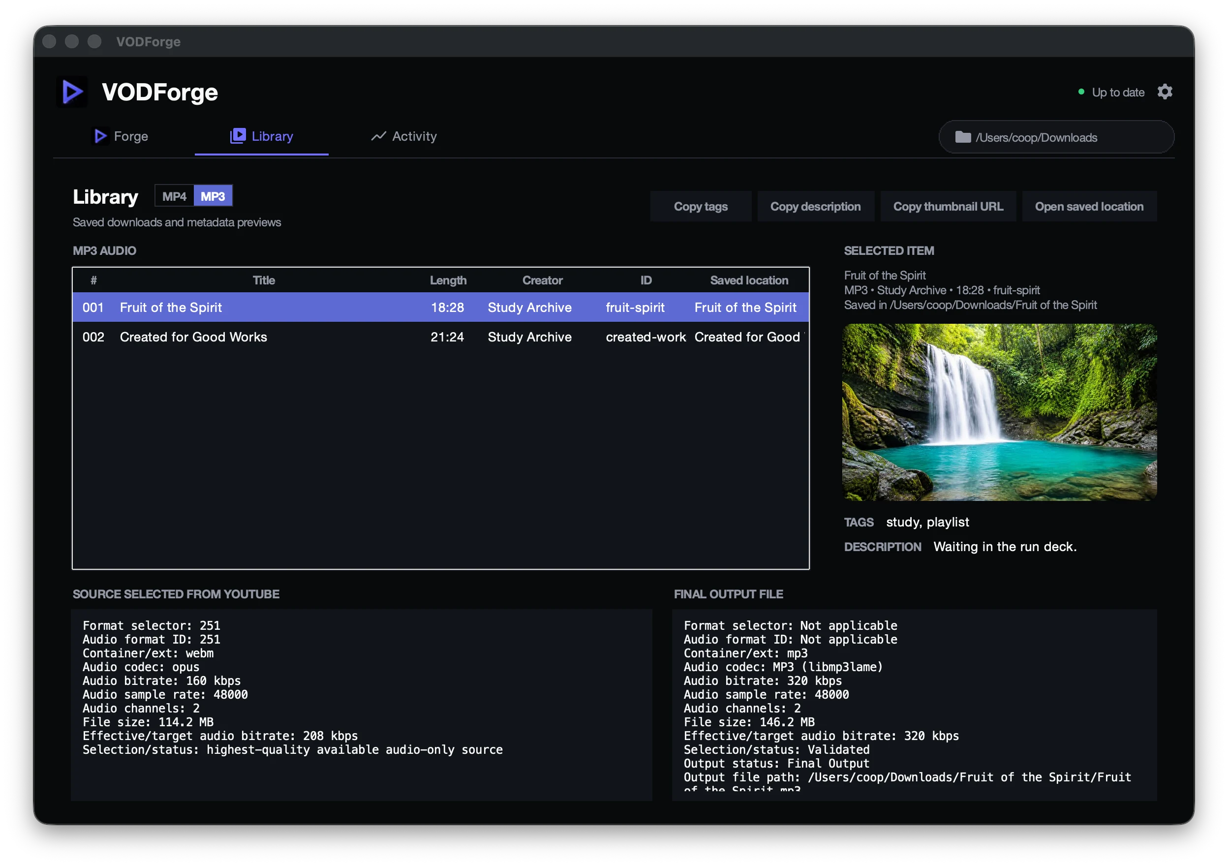 VODForge Library showing MP3 files, a scenic cover image, and source and final output metadata